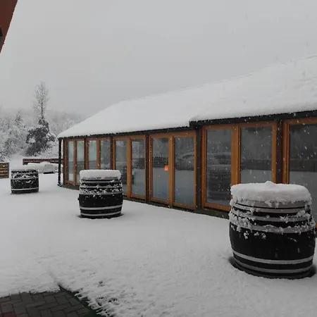 David Sa Unutarnjim Bazenom Lägenhet